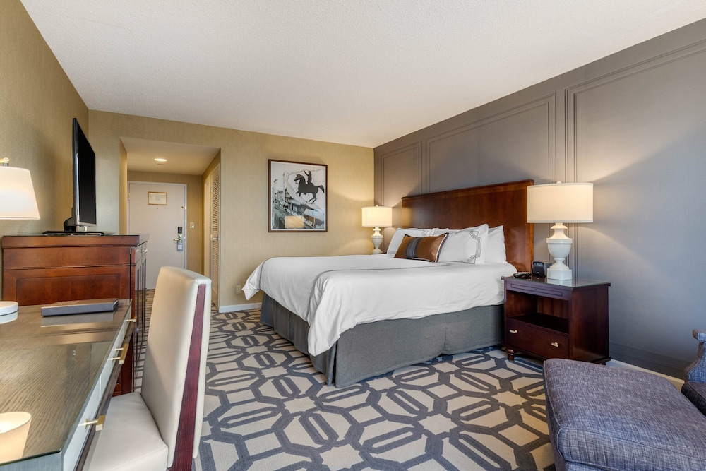 Premium Room, 1 King Bed (Luxury) photo 3