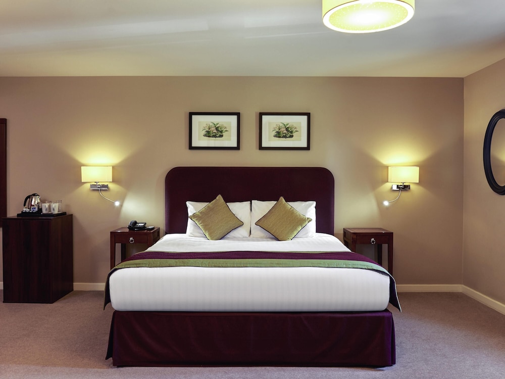 Superior Room, 1 King Bed photo 3