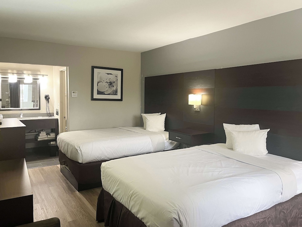 Deluxe Room, 2 Double Beds, Non Smoking