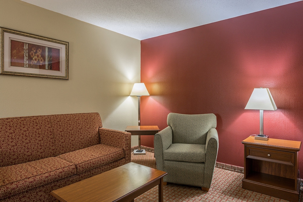 Standard Suite, 1 King Bed with Sofa bed, Smoking - Photo 3