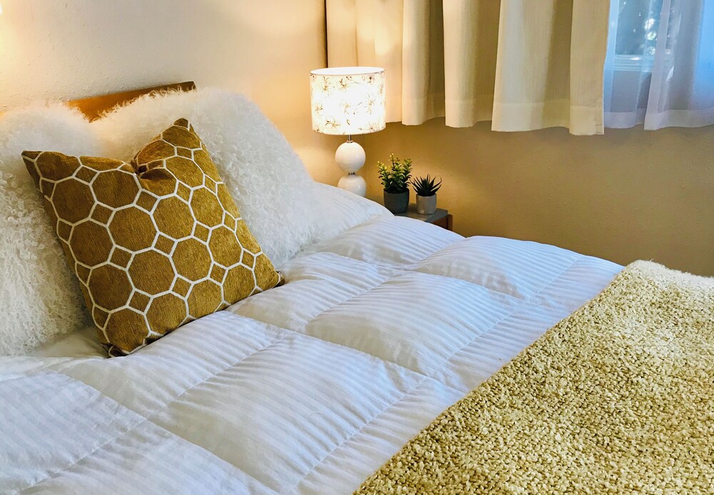 Economy Single Room photo 1