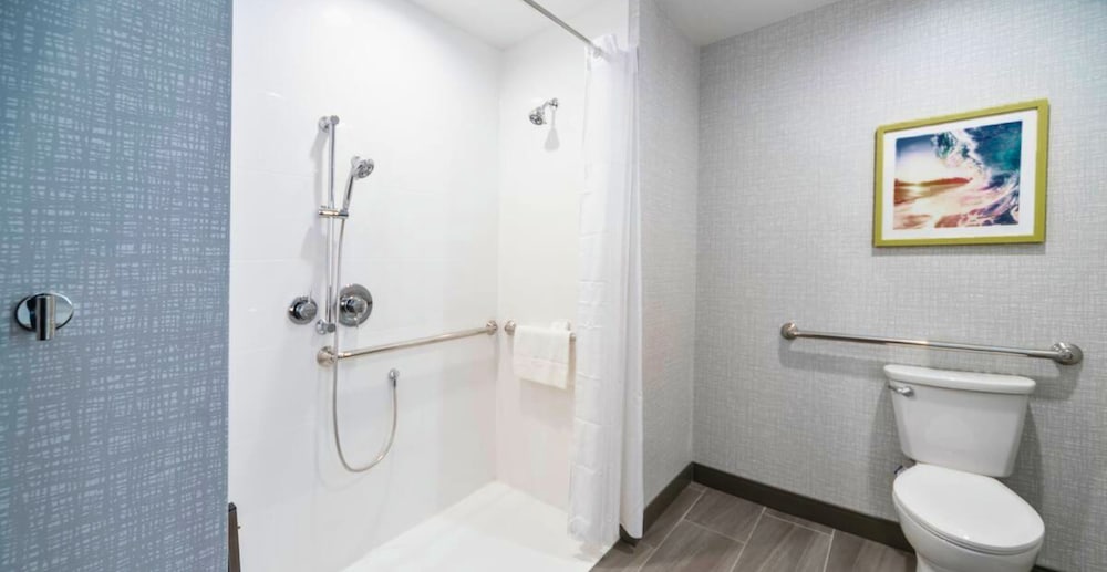 Room, 1 King Bed, Accessible (Roll-In Shower) - Photo 4