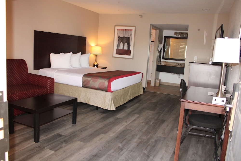 Comfort Room, 1 King Bed, Non Smoking, Allergy Friendly - Photo 2