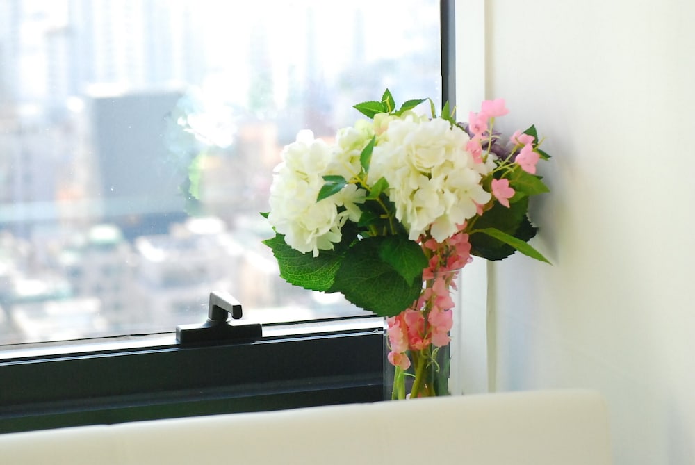 City Studio Suite