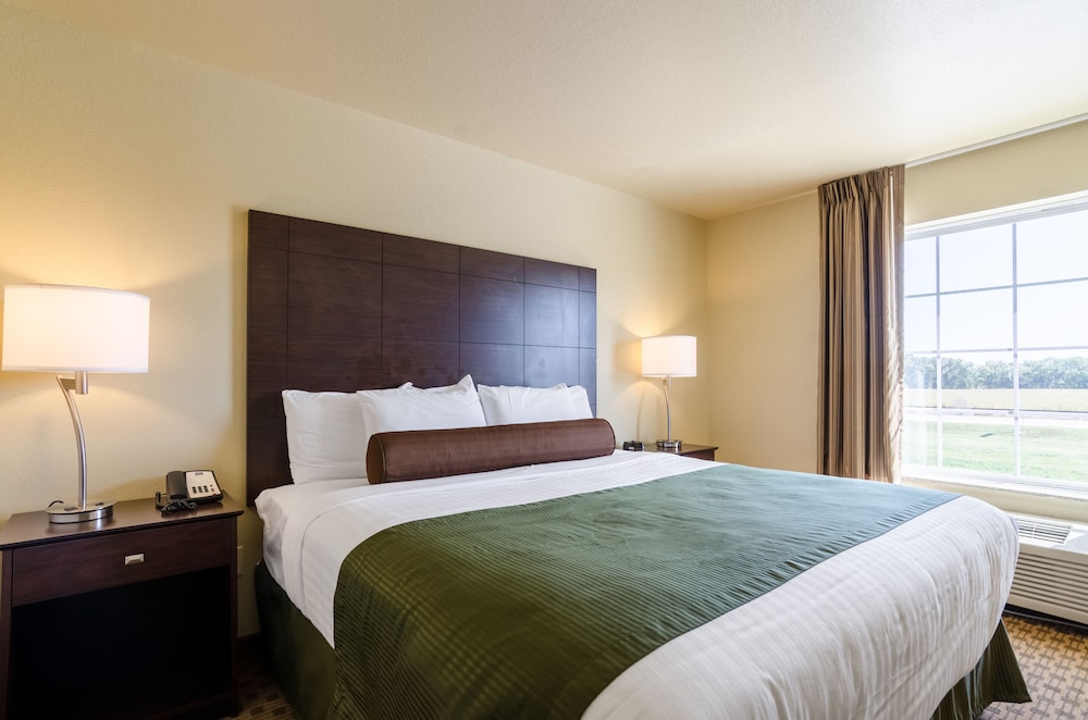 Room, 1 King Bed, Accessible, Non Smoking