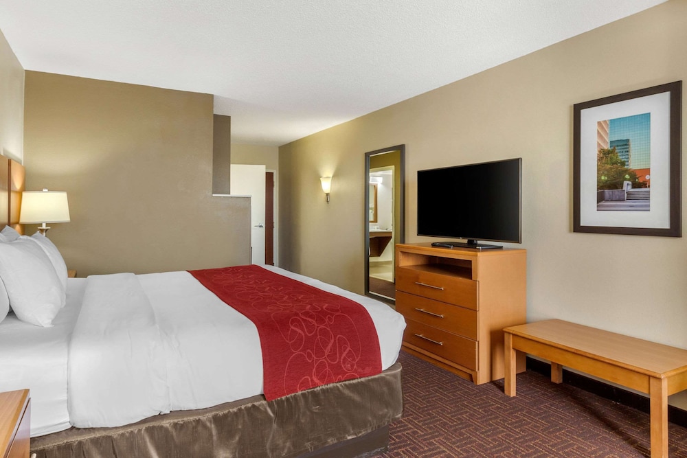 Standard Room, 1 King Bed with Sofa bed, Non Smoking photo 2
