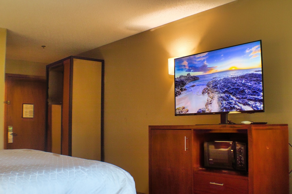 Standard Room, 1 Queen Bed, Accessible, Refrigerator & Microwave - Photo 2