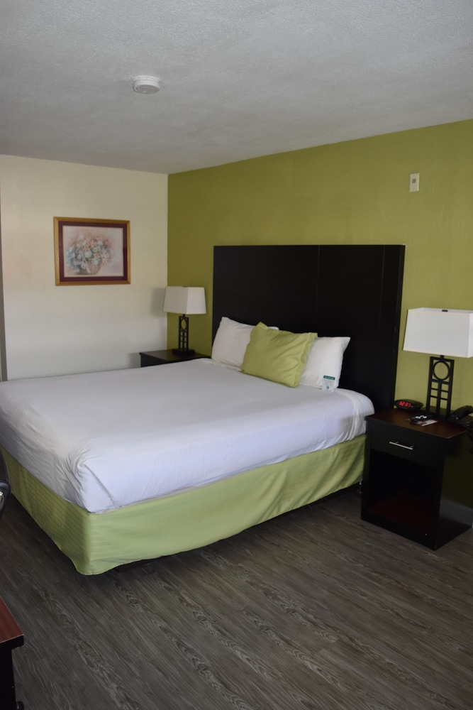 Deluxe Room, 1 King Bed, Non Smoking, Refrigerator & Microwave - Photo 2