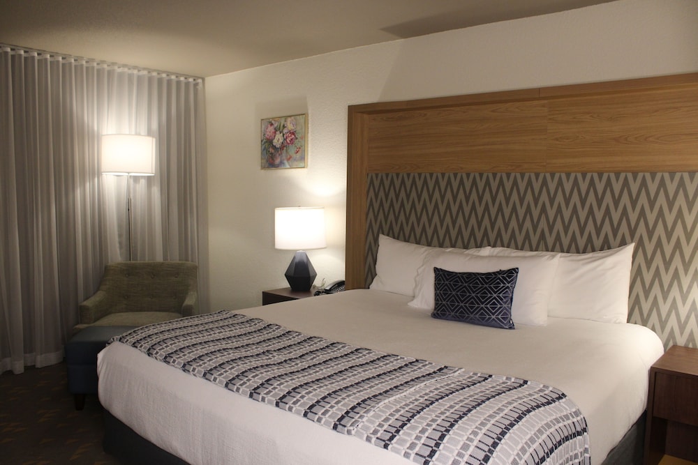 Room, 1 King Bed, Mobility Accessible, Non Smoking (Hearing, Roll-in Shower) photo 1