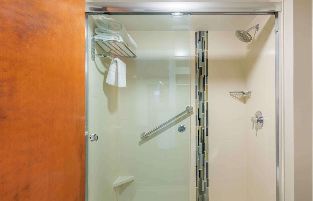 Deluxe Studio, Multiple Beds, Non Smoking, Kitchenette - Photo 5
