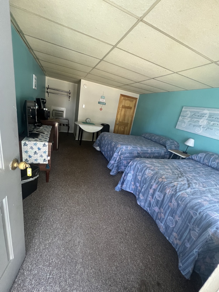 Standard Double Room, 2 Double Beds photo 1