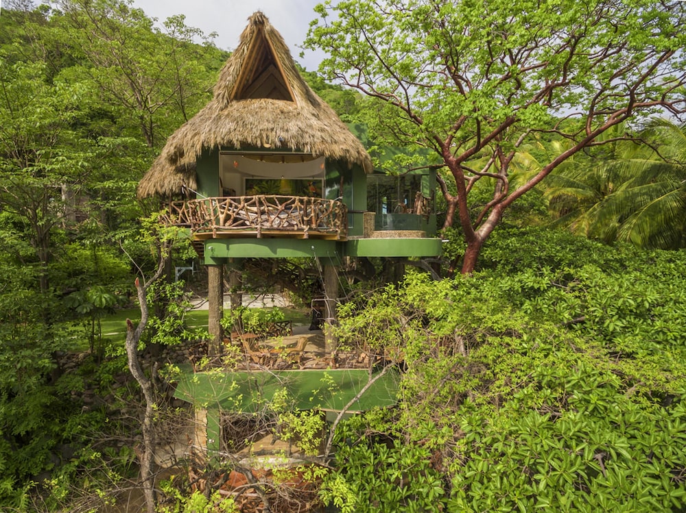 Tree Love Nest-ocean View