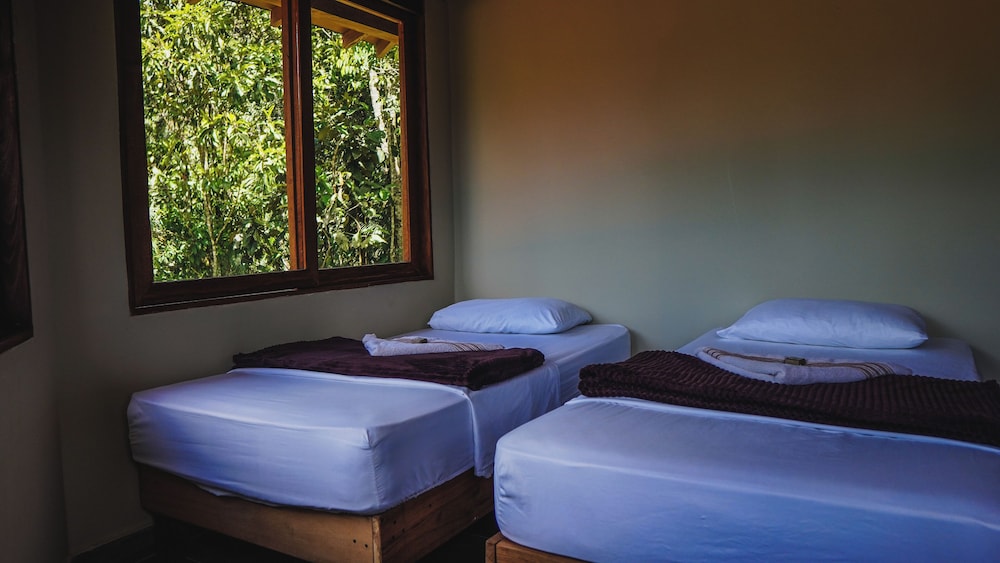 Double Room, Garden View photo 1