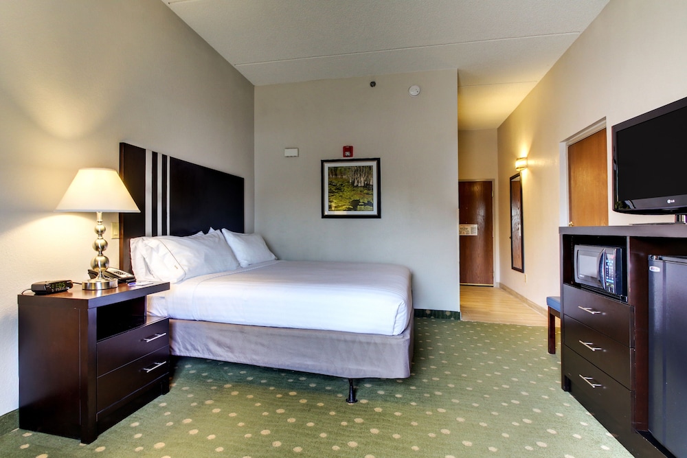 Suite, 1 King Bed, Accessible (Mobility, Roll-In Shower) - Photo 1
