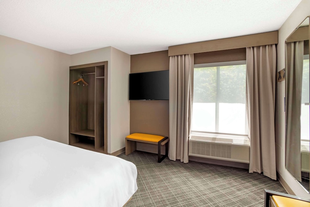 Suite, 1 King Bed with Sofa bed, Non Smoking photo 3