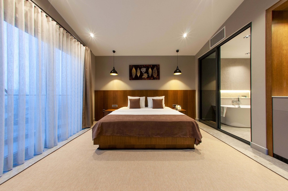 Deluxe Room photo 1