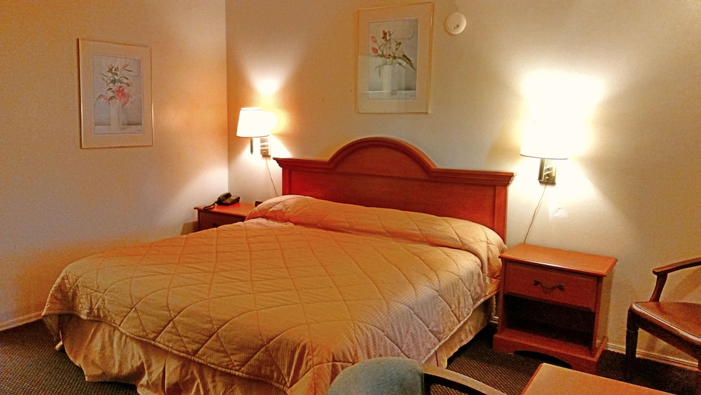 Traditional Room, 1 King Bed, Smoking photo 1