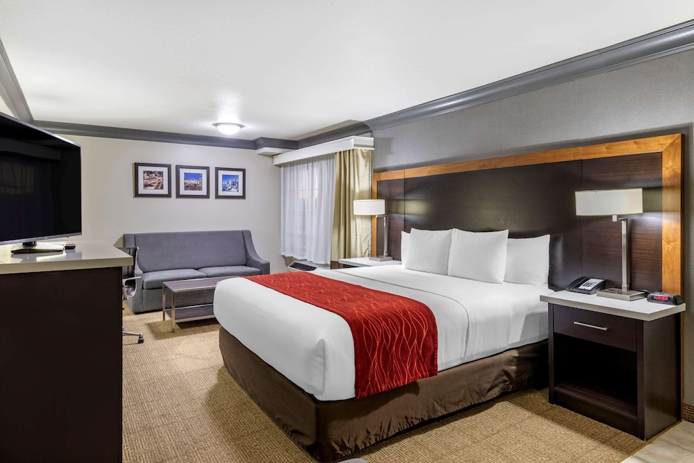 Suite, 1 King Bed with Sofa bed, Non Smoking