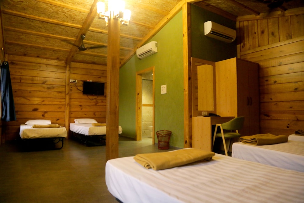 Shared Dormitory photo 1