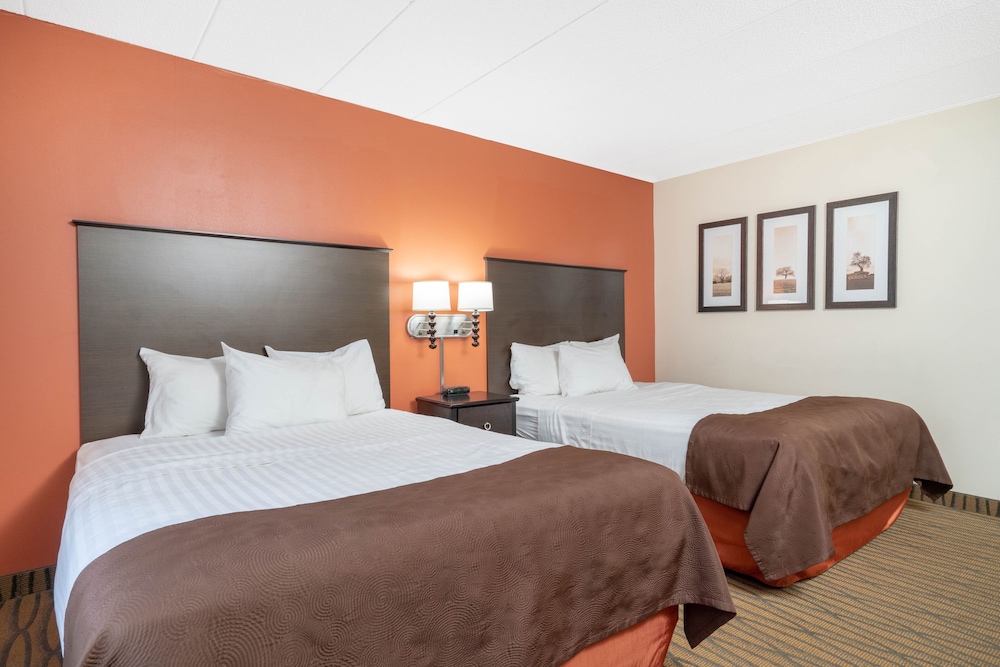 Deluxe Double Room, 2 Queen Beds photo 1