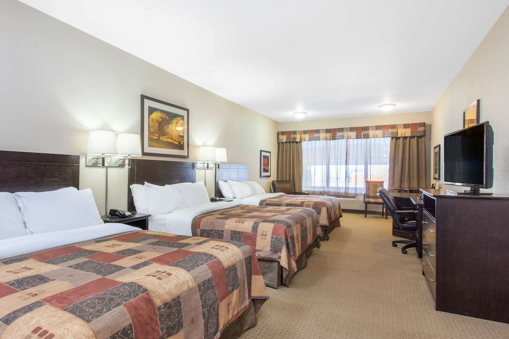 Room, Multiple Beds, Non Smoking - Photo 1