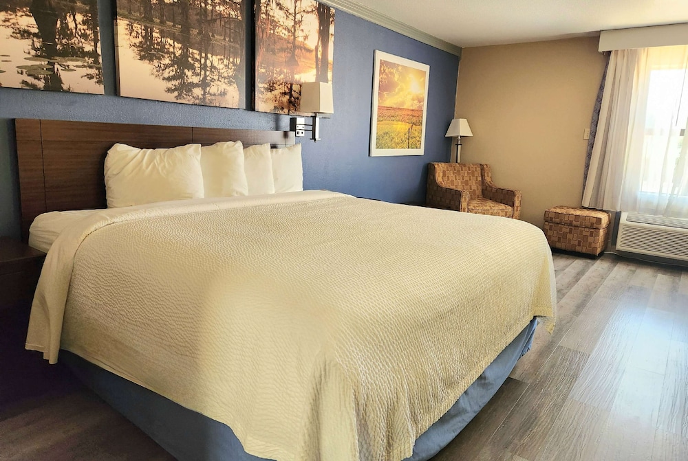 Room, 1 King Bed, Accessible, Non Smoking (Roll-In Shower) - Photo 1