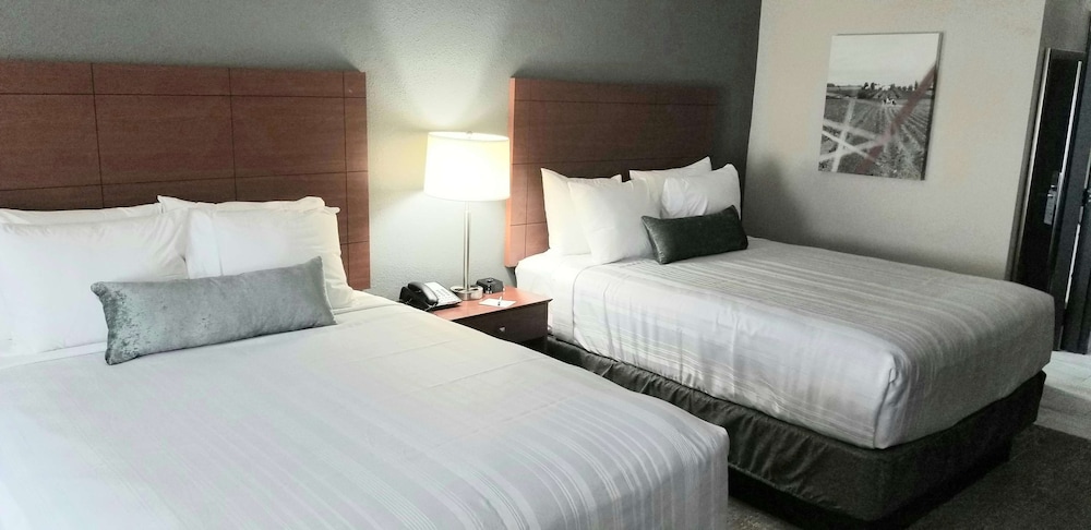 Standard Room, 2 Queen Beds, Non Smoking, Refrigerator & Microwave - Photo 1