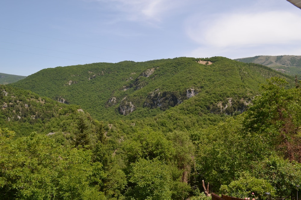 Classic Apartment, 2 Bedrooms, Non Smoking, Mountain View photo 1