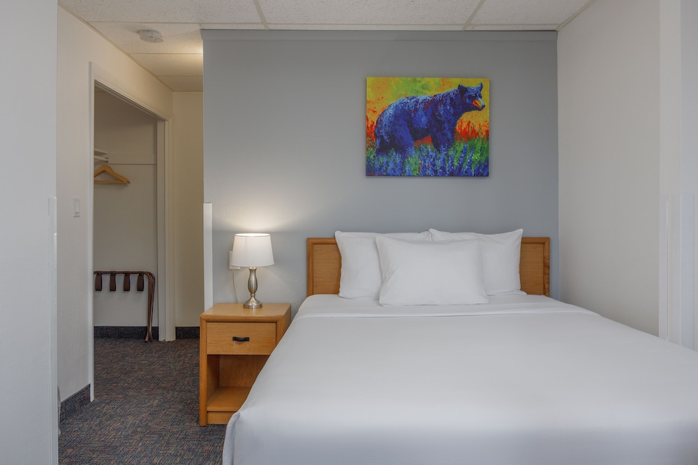 Comfort Room, 1 Queen Bed photo 1