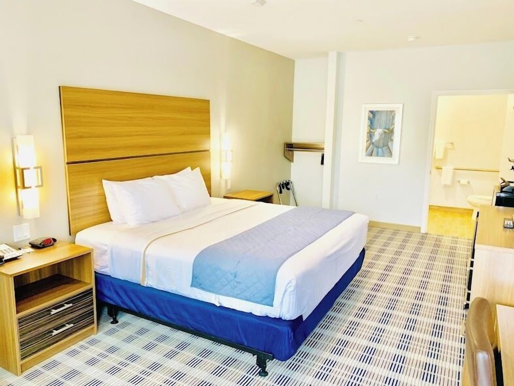 Deluxe Single Room photo 3