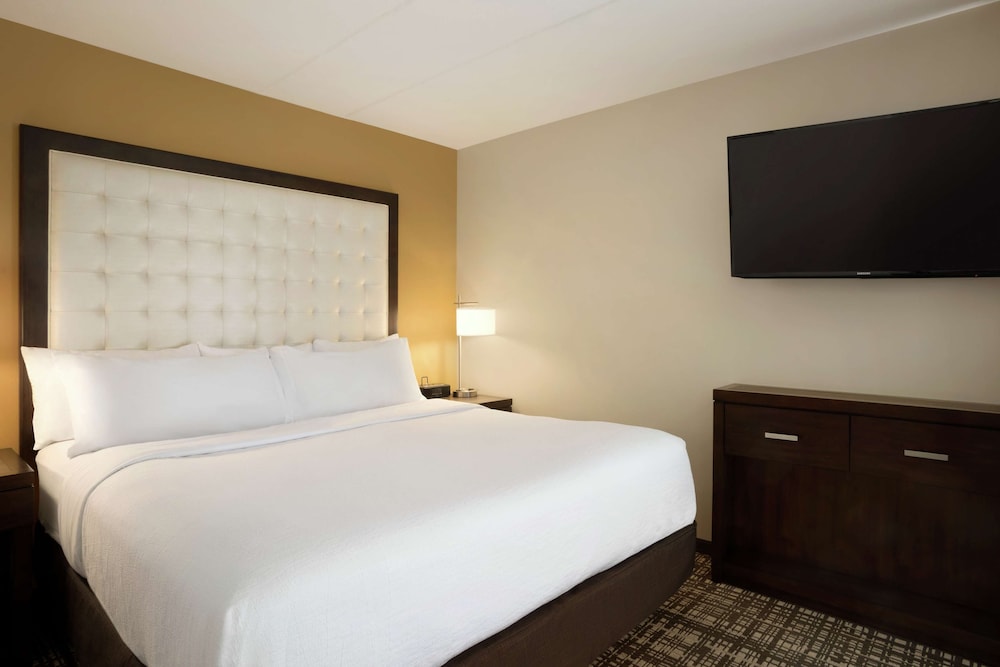 1 Room Premium Suite, 1 King Bed photo 1