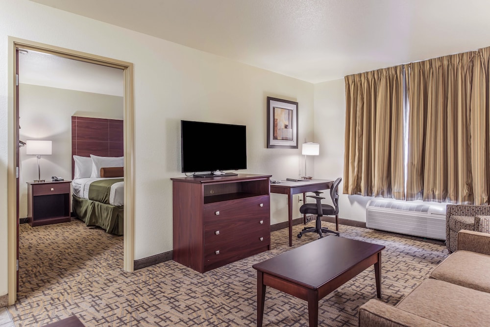 Suite, 1 King Bed with Sofa bed, Accessible, Non Smoking