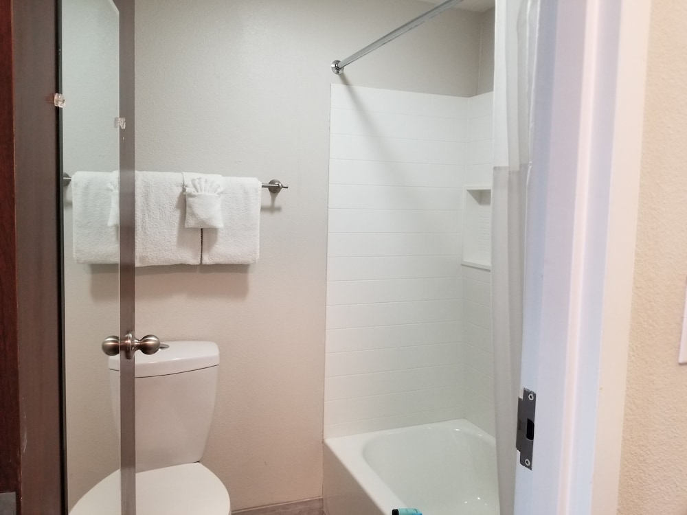 Suite, Multiple Beds, Non Smoking (Efficiency) - Photo 8