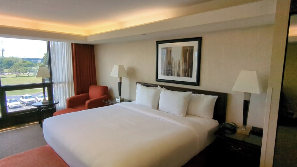 Suite, 1 King Bed with Sofa bed - Photo 4