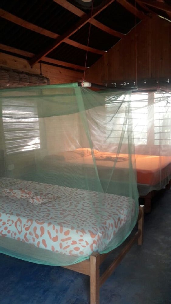 Family Cabin, Multiple Beds photo 2