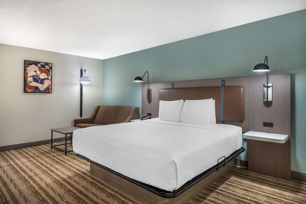 Standard Room, 1 King Bed, Accessible, Refrigerator & Microwave (with Sofabed) photo 1