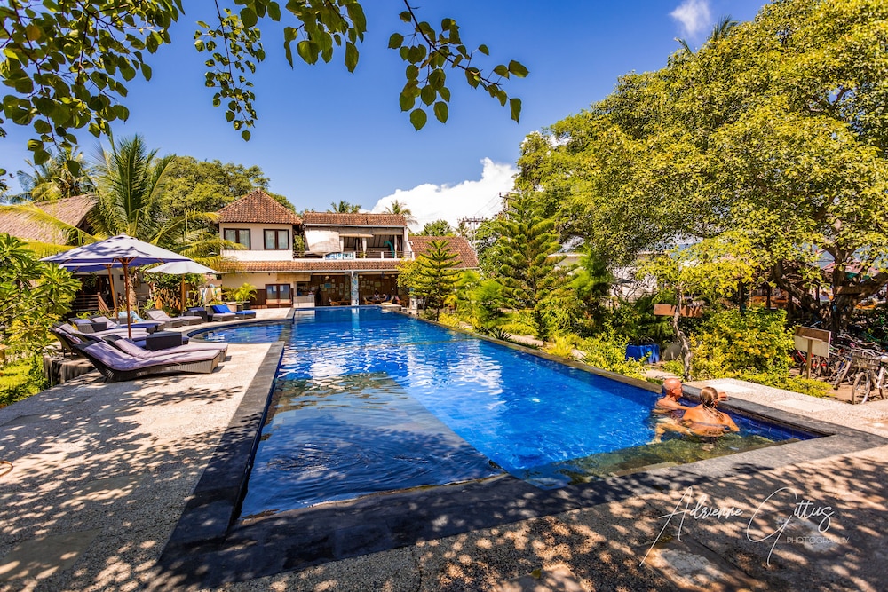 Sea view Poolside Bungalow photo 2