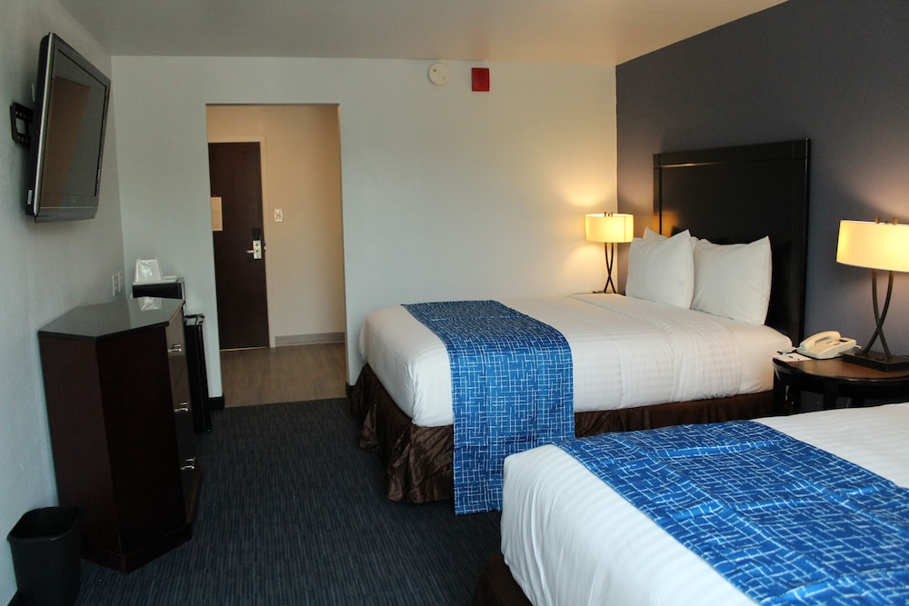 Deluxe Studio Suite, Non Smoking (3 Queen Beds) - Photo 1
