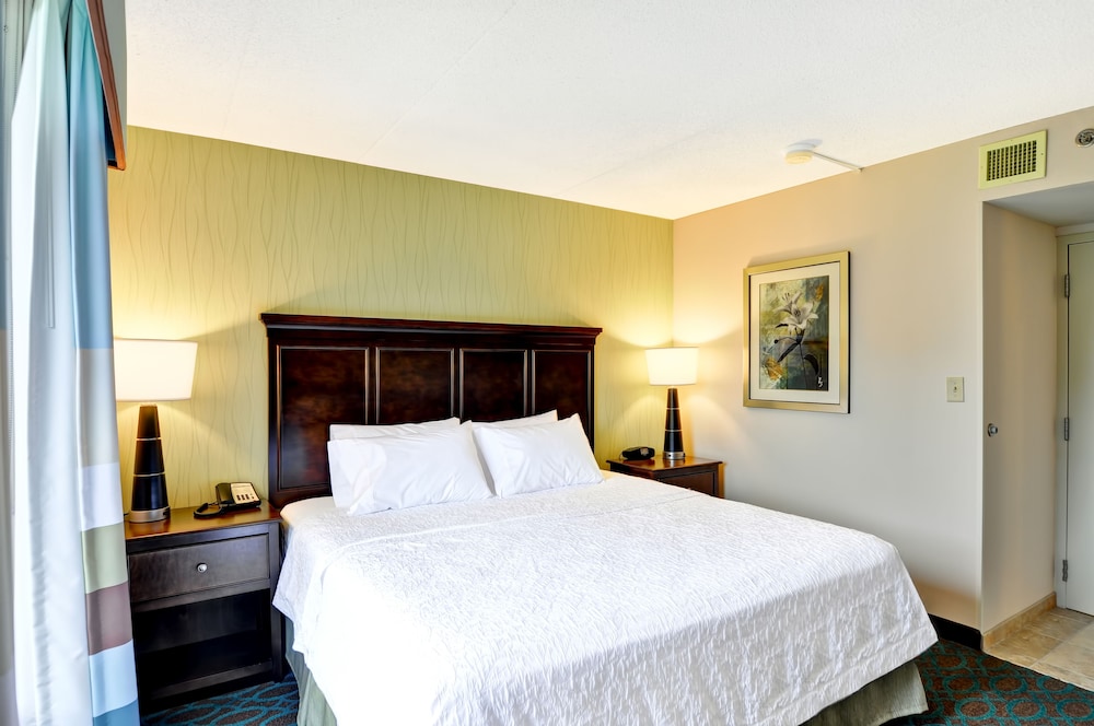 Suite, 1 King Bed, Accessible, Non Smoking photo 2
