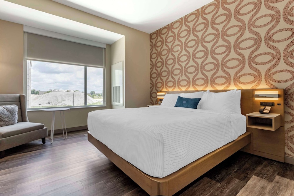 Suite, 1 King Bed, Accessible, Non Smoking, photo 6
