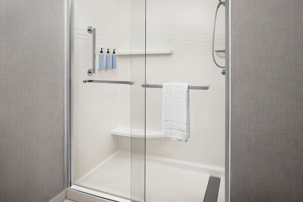 Studio Suite, 1 King Bed with Sofa bed (Mobility/Hearing Access, Transf Shwr) - Photo 4