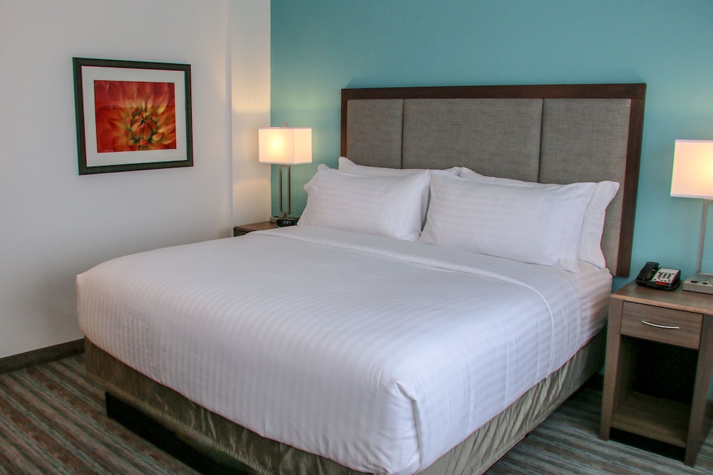 Holiday Inn & Suites Denver Tech Center-Centennial by IHG, Billede 10