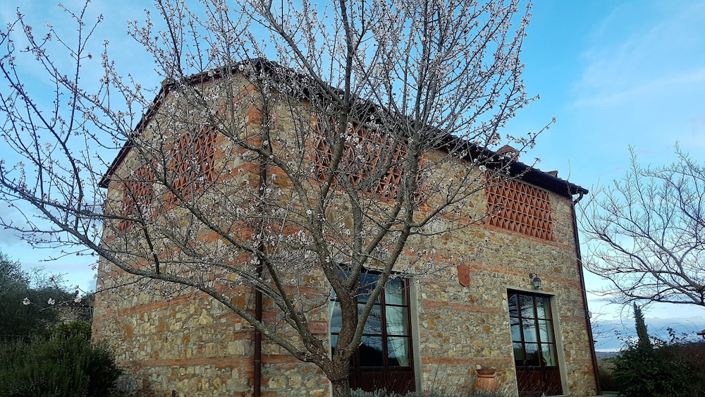 Family Villa, 3 Bedrooms, Kitchen, Garden Area (Falco)