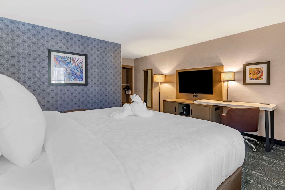 Room, 1 King Bed, Accessible Bathtub, Non Smoking - Photo 3