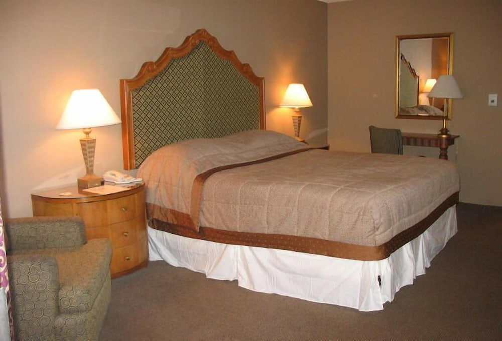 Superior Room, 1 King Bed, Non Smoking