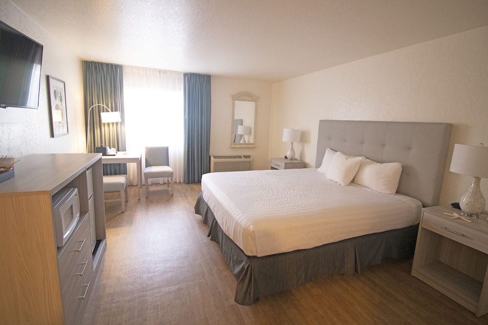 Standard Room, 1 King Bed, Pet Friendly