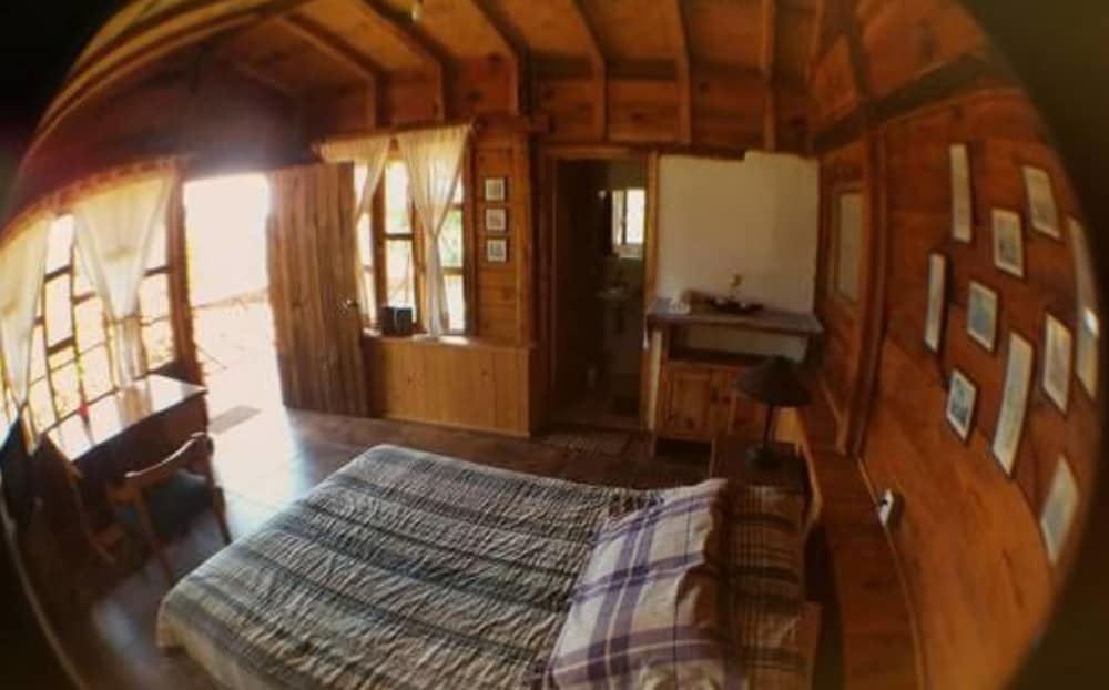 Standard Cabin, 1 King Bed photo 2