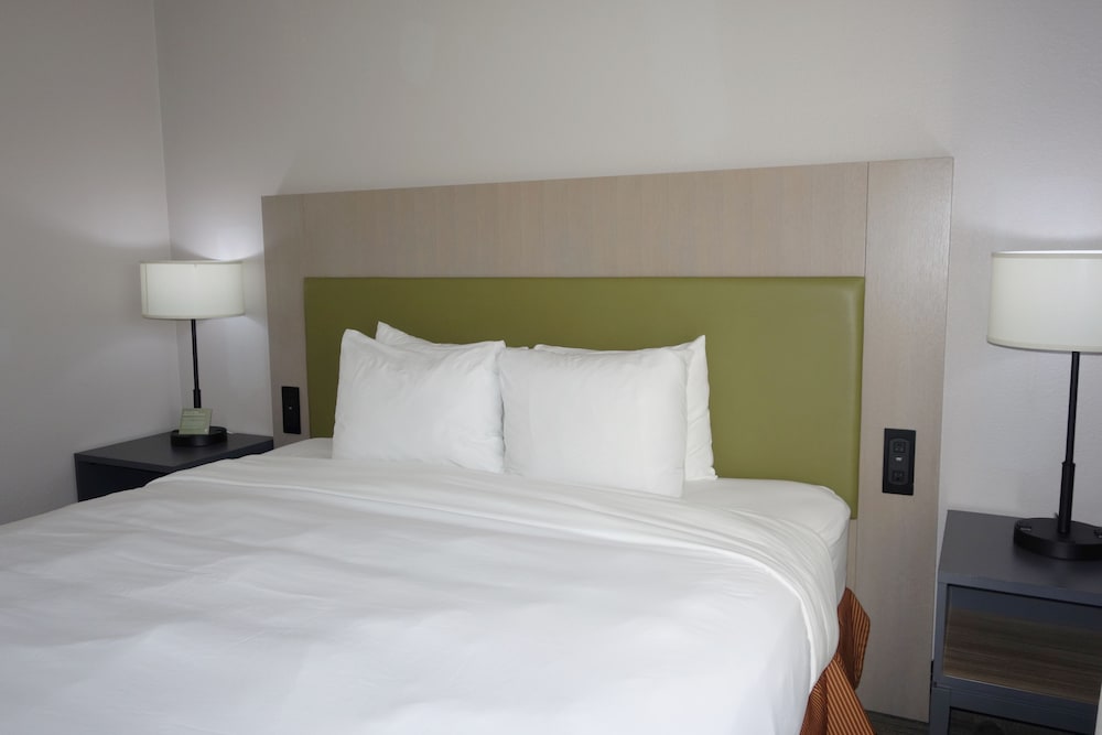 Room, 1 King Bed, Non Smoking - Photo 2