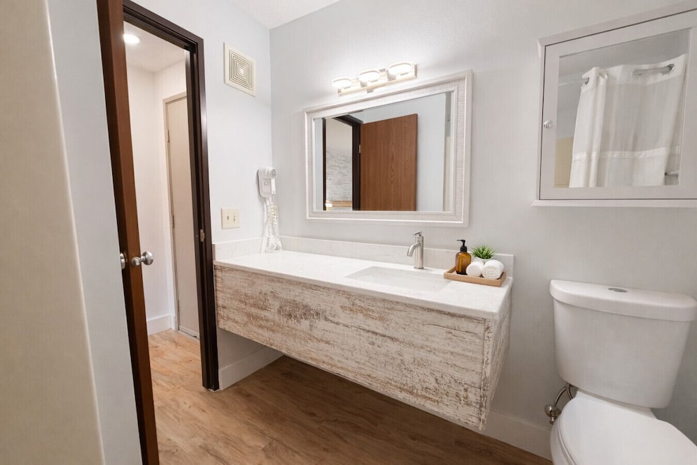 Suite, 1 King Bed (Whirlpool) photo 3