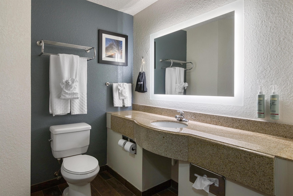Suite, 1 King Bed, Non Smoking, Refrigerator & Microwave (with Sofabed) - Photo 4